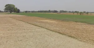 Dhablahardu, Madhya Pradesh 456550, India preview 2