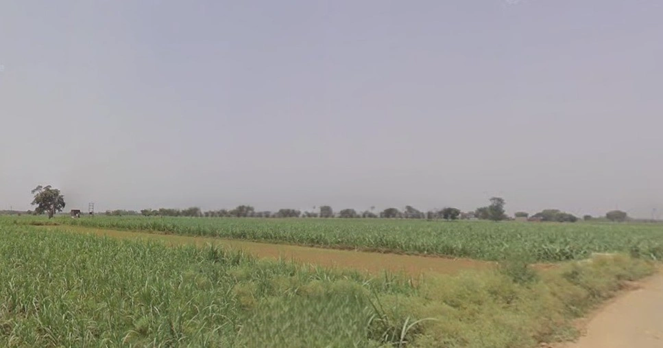 Khirwa Rd, Nangla Tashi, Meerut, Uttar Pradesh, India