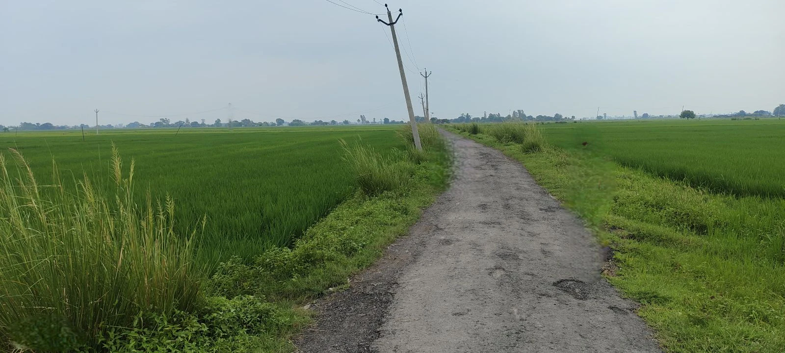 Tikar, Prayagraj, Uttar Pradesh 212306, India