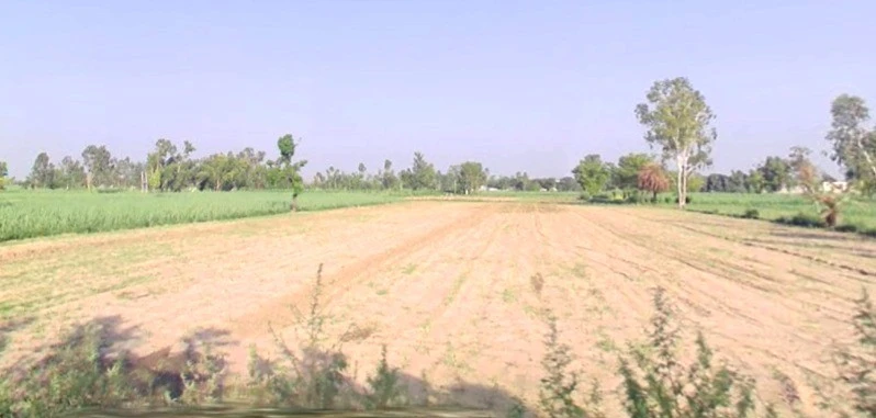 Hakkanipura, Madhya Pradesh 456006, India