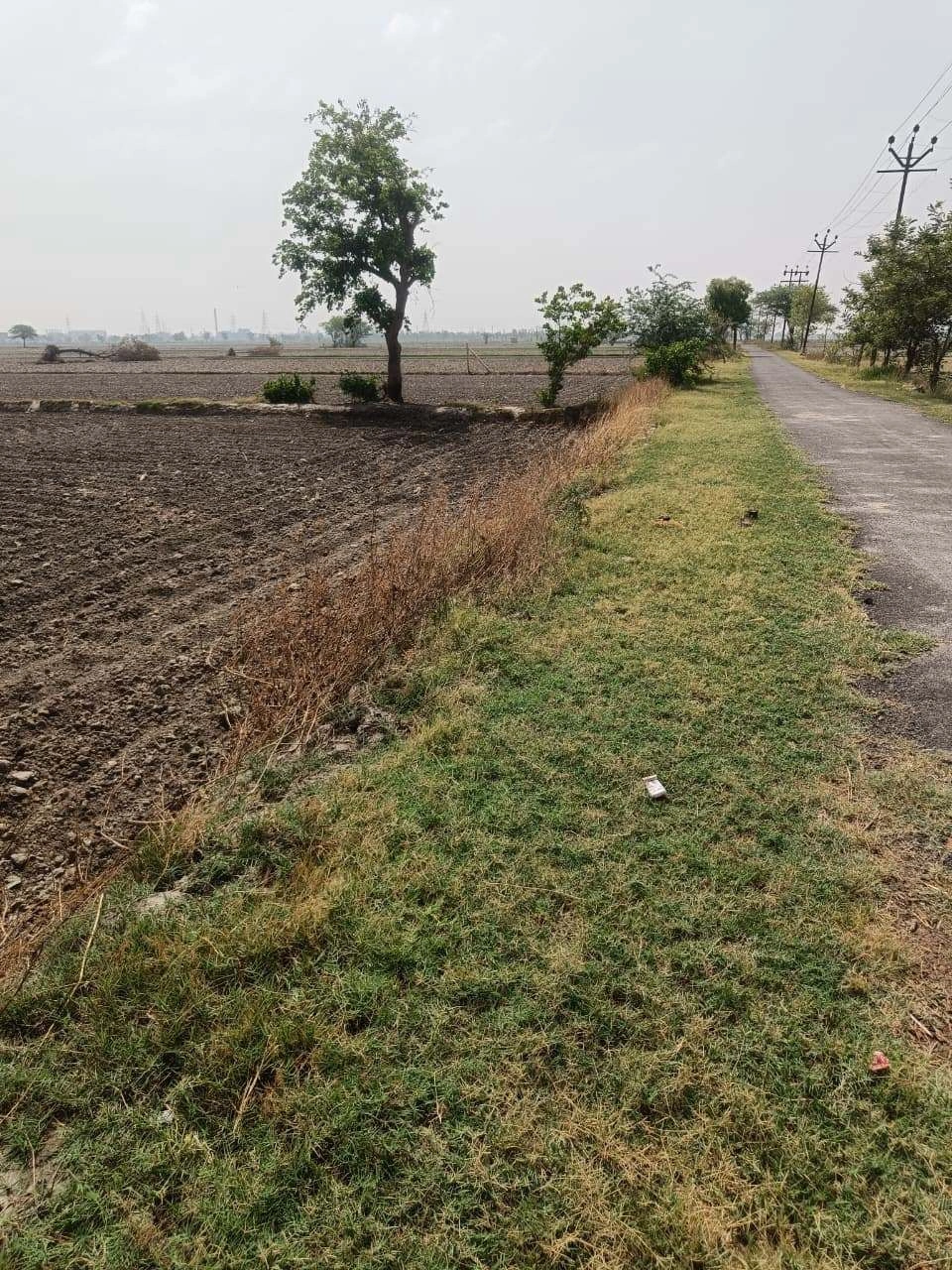 Aou, Rajasthan, India