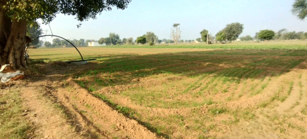 Banur, Punjab, India
