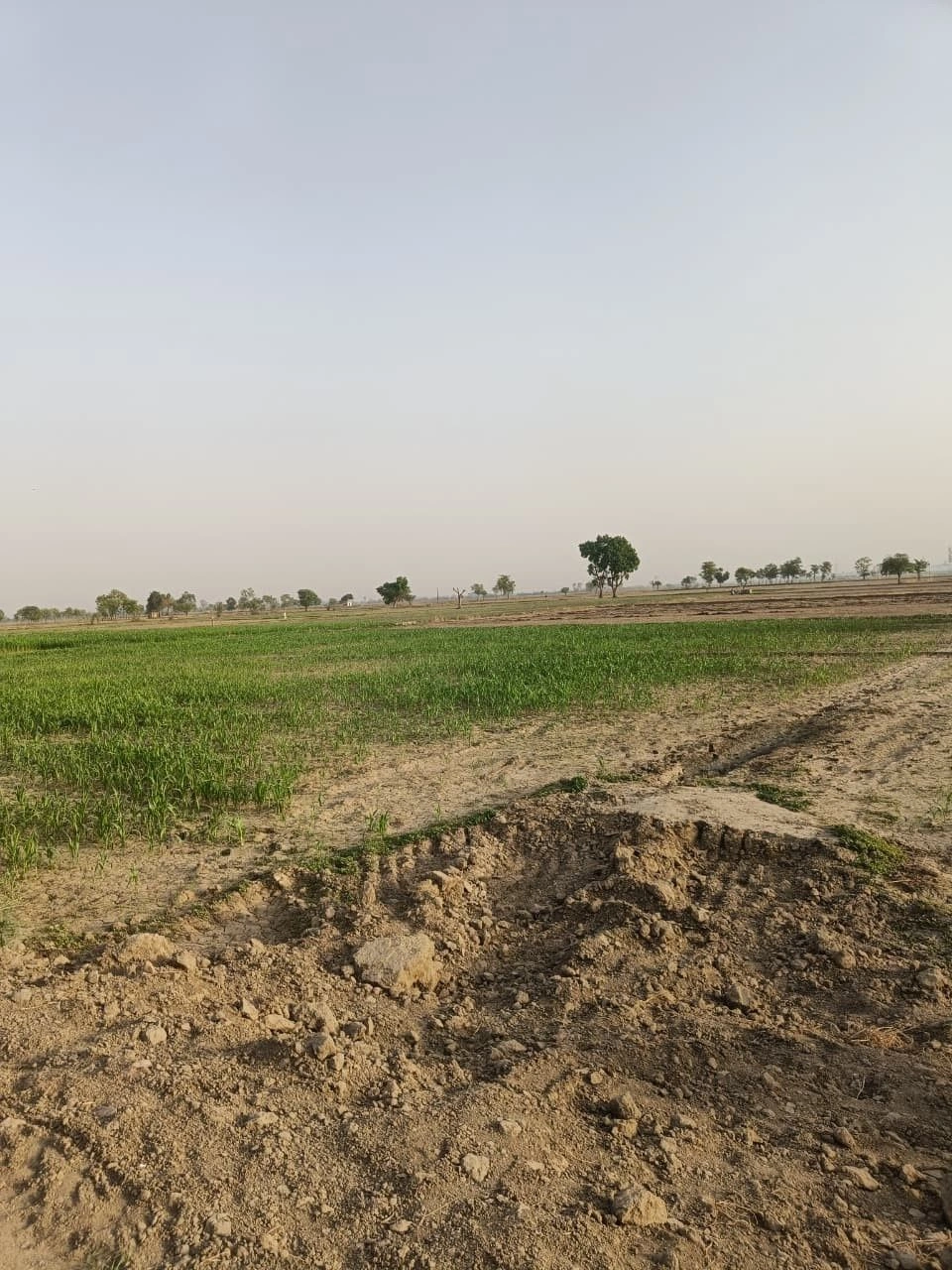 GGCJ+PGQ, Alwar, Paitpur, Rajasthan 301001, India