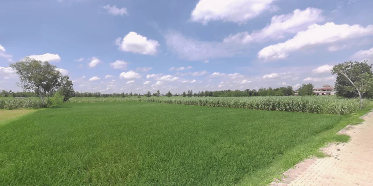 Bhagwanpur, Uttarakhand 247661, India preview 3