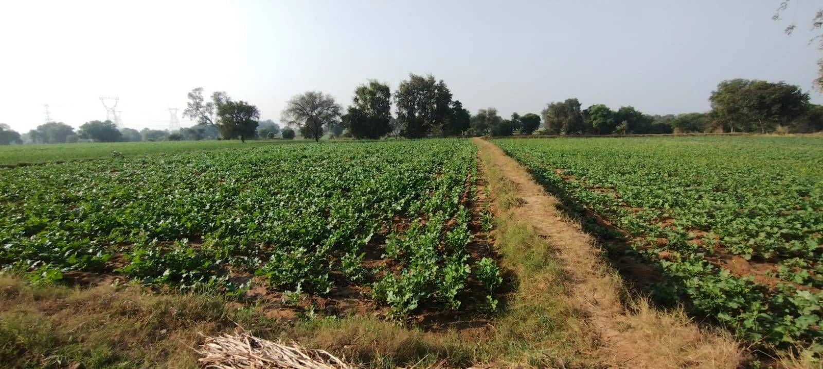 Noida, Uttar Pradesh, India