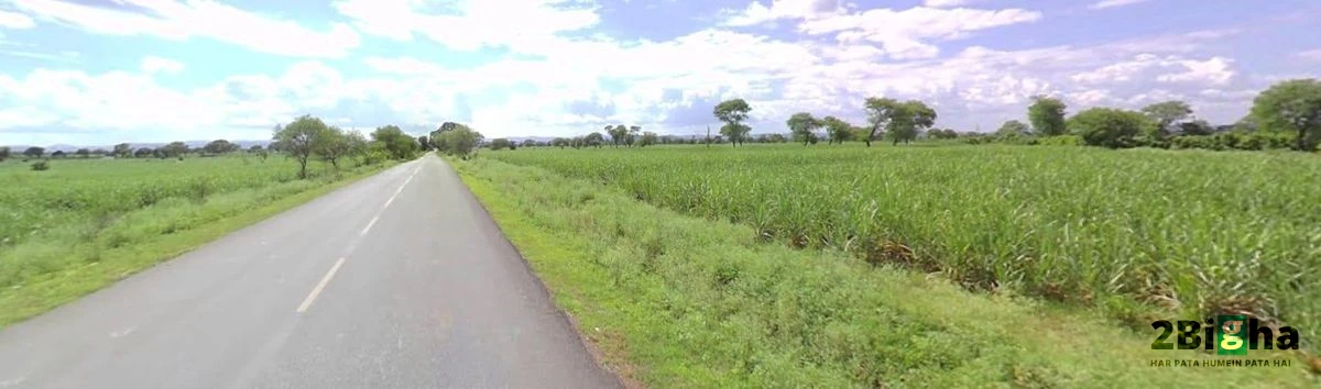 Janjgir-Champa, Chhattisgarh, India