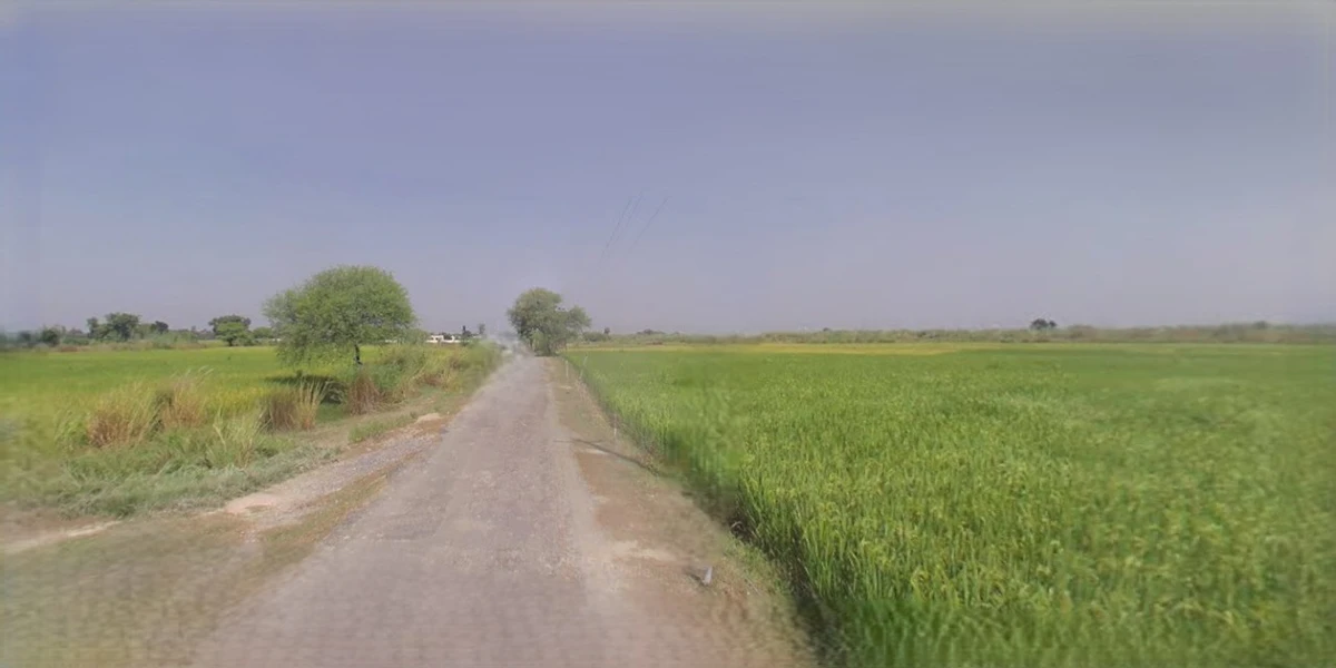 Anupgarh, Rajasthan 335701, India