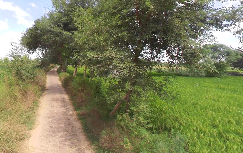 Gangapur, Uttar Pradesh 203393, India