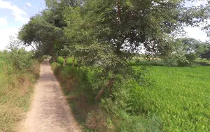 Gangapur, Uttar Pradesh 203393, India preview 3