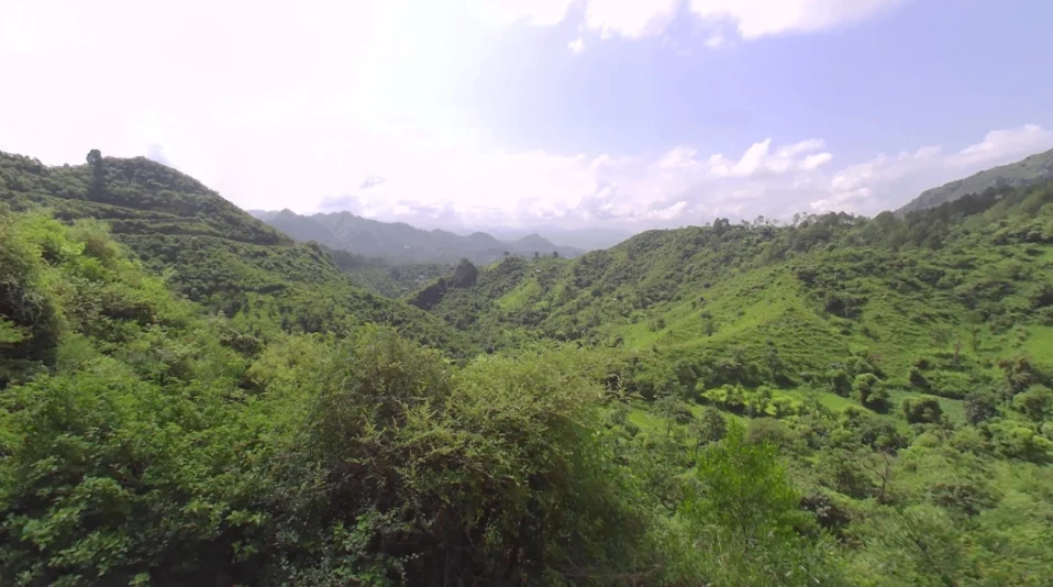 Morni Hills, Haryana, India