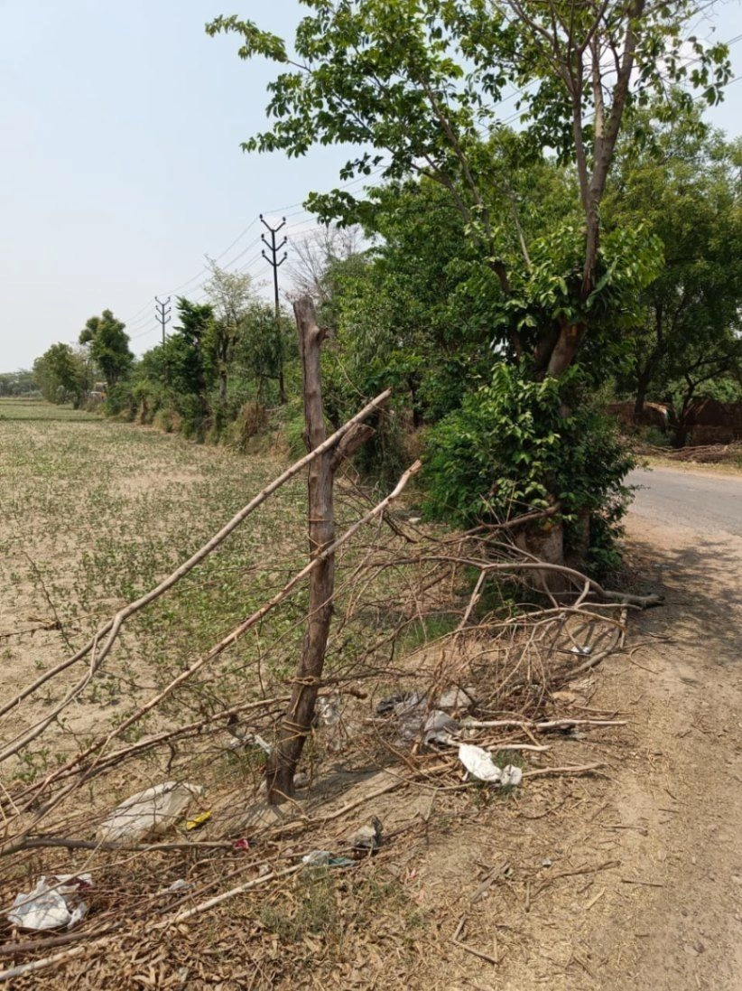 Gharwari, Rajasthan 321201, India