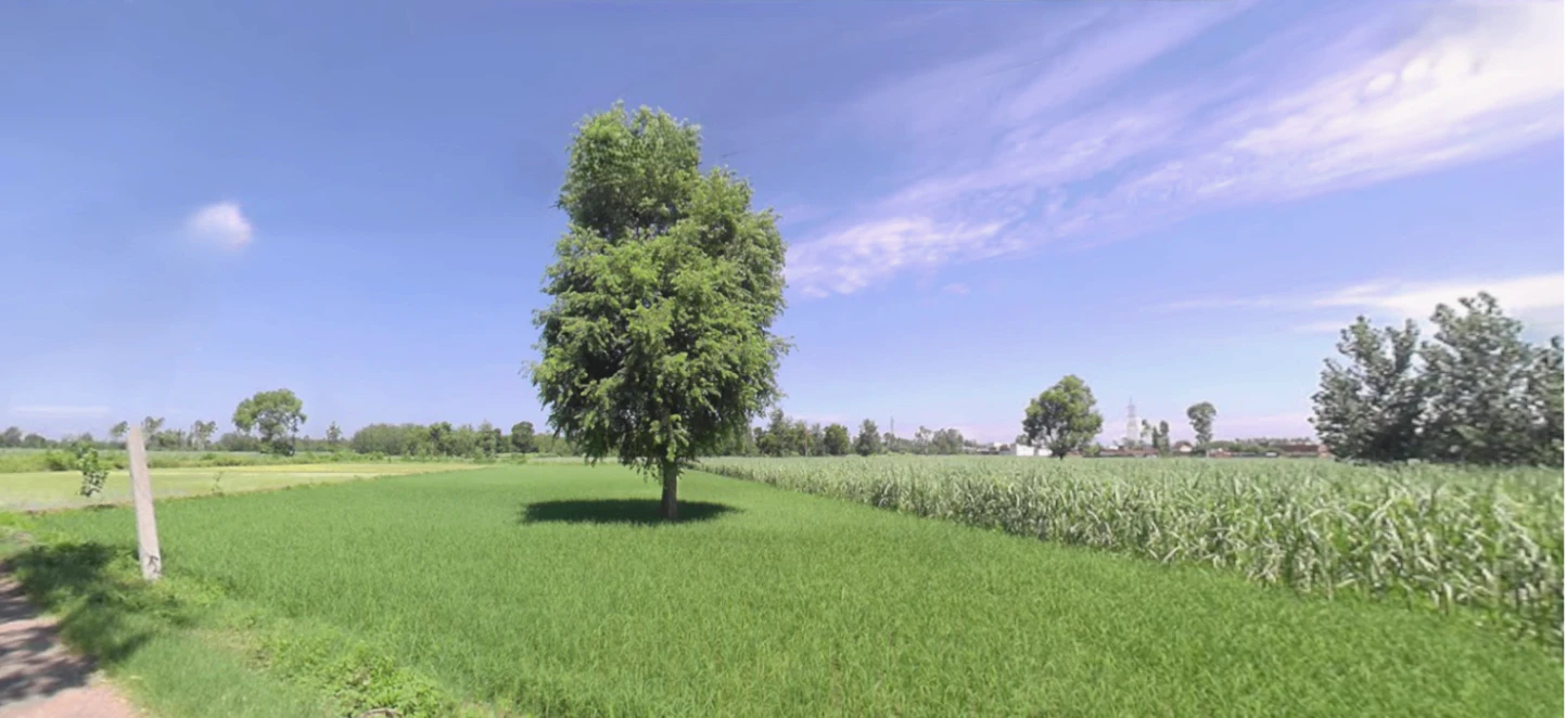 Rishikesh, Uttarakhand, India