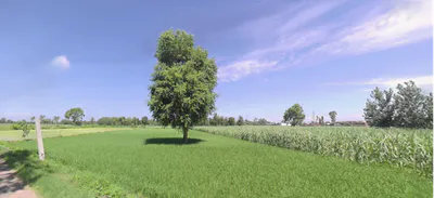 Rishikesh, Uttarakhand, India preview 2