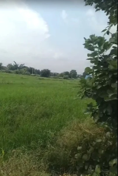 Fatehpur Dobra, Madhya Pradesh 462044, India preview 2