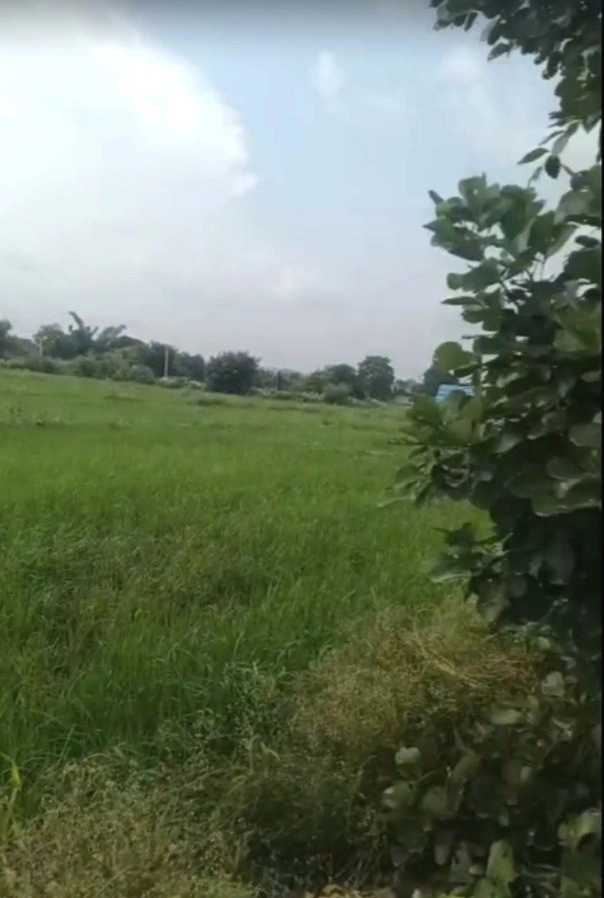 Fatehpur Dobra, Madhya Pradesh 462044, India