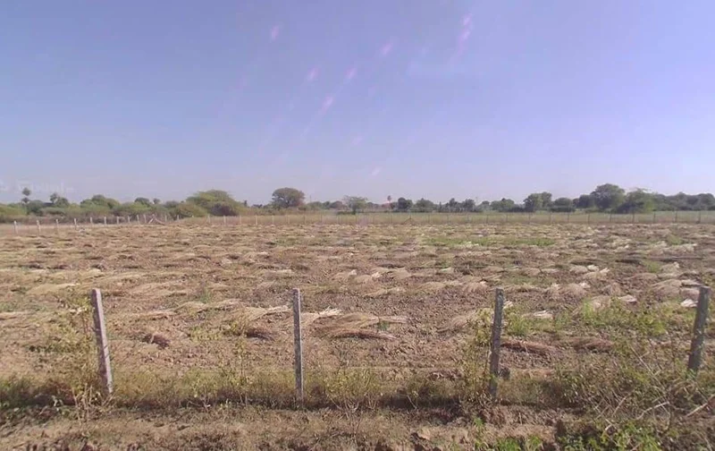 Banera, Rajasthan 311401, India preview 2