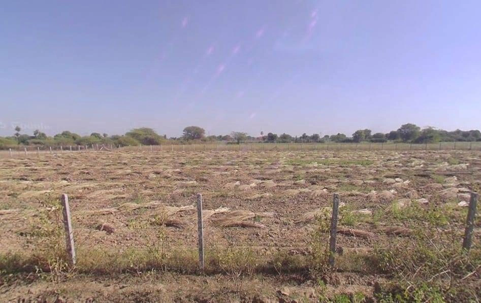 Banera, Rajasthan 311401, India