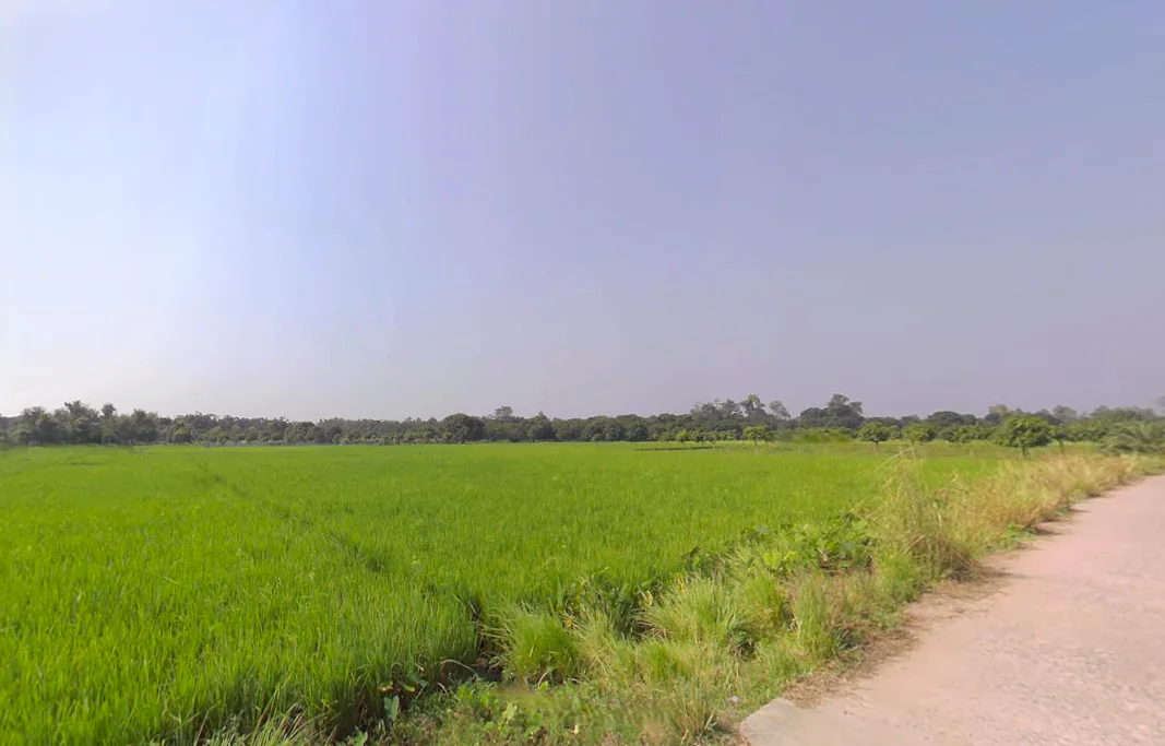 Habibpur, West Bengal, India preview 3