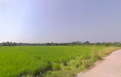 Habibpur, West Bengal, India preview 3