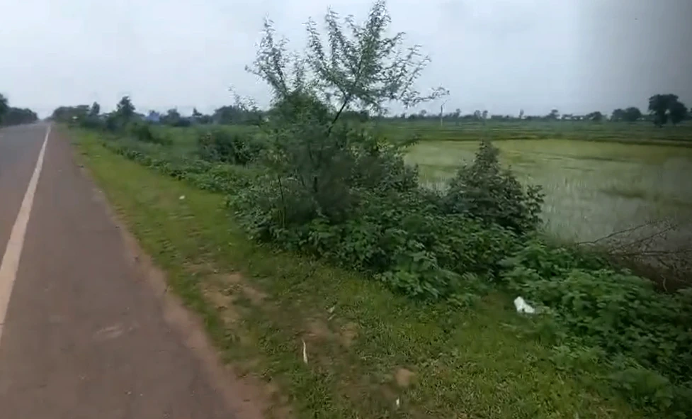 CPJQ+9G5, Raisen, Pagneshwar, Madhya Pradesh 464651, India
