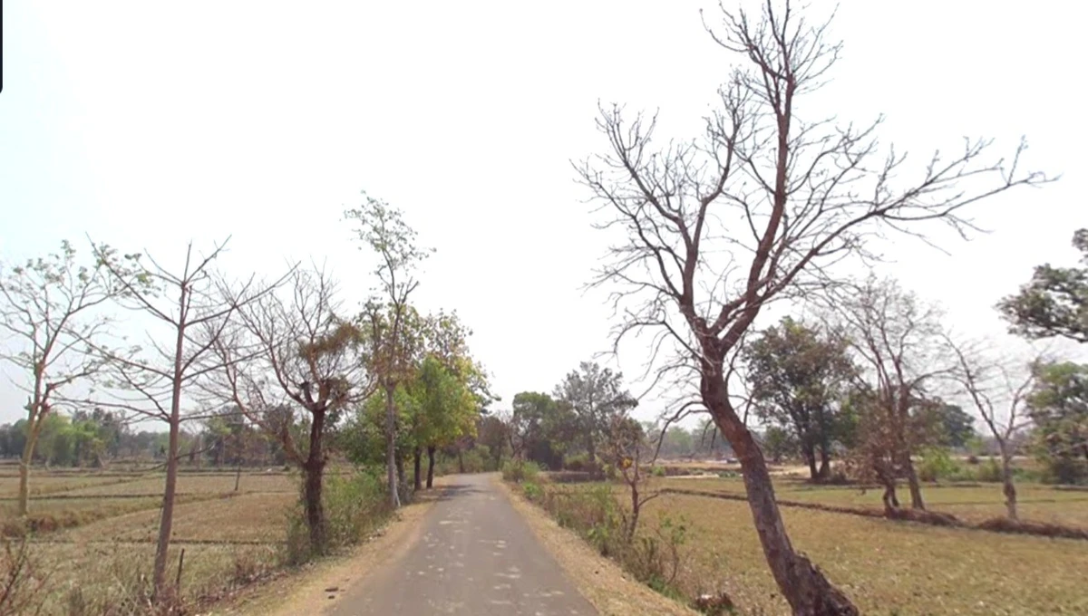 Badgaon, Madhya Pradesh, India