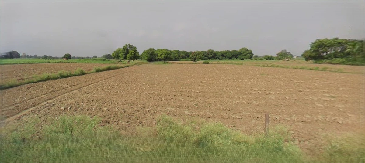 Jhajjar, Haryana 124103, India