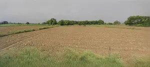 Jhajjar, Haryana 124103, India preview 3
