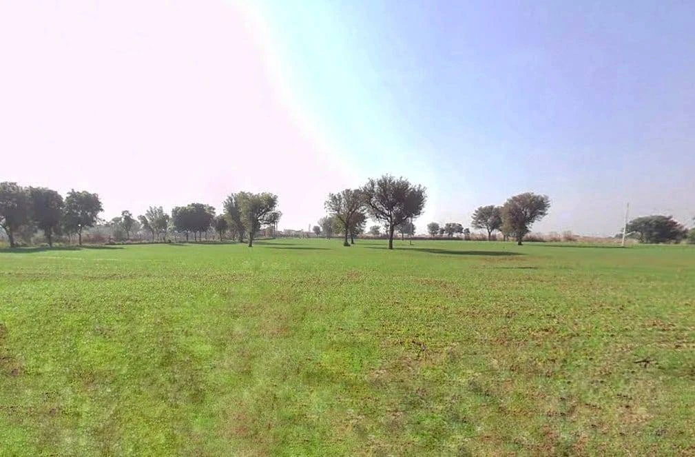 Daulatpura, Rajasthan, India