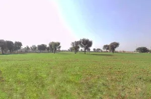 Daulatpura, Rajasthan, India preview 2