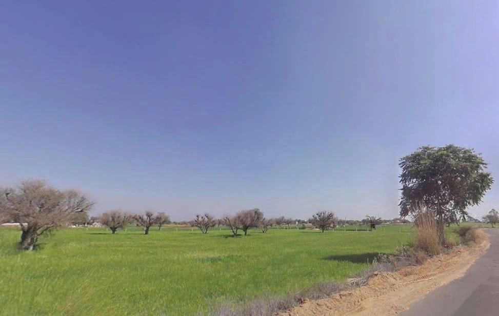 Aloda, Rajasthan 332602, India preview 2