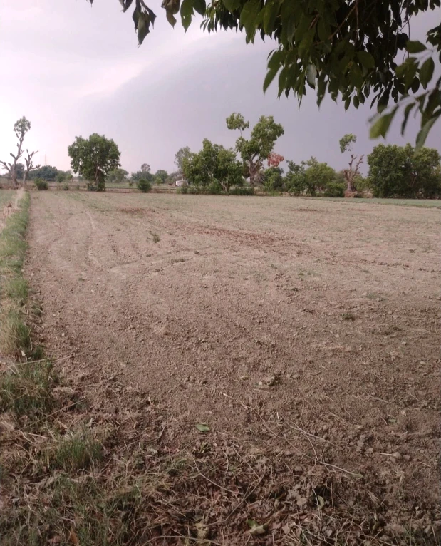 WH7G+854, Jaipur, Ramchandra baba kidhani, Dhankya, Kanarpura at Khanga Ki Dhani, Rajasthan 302041, India
