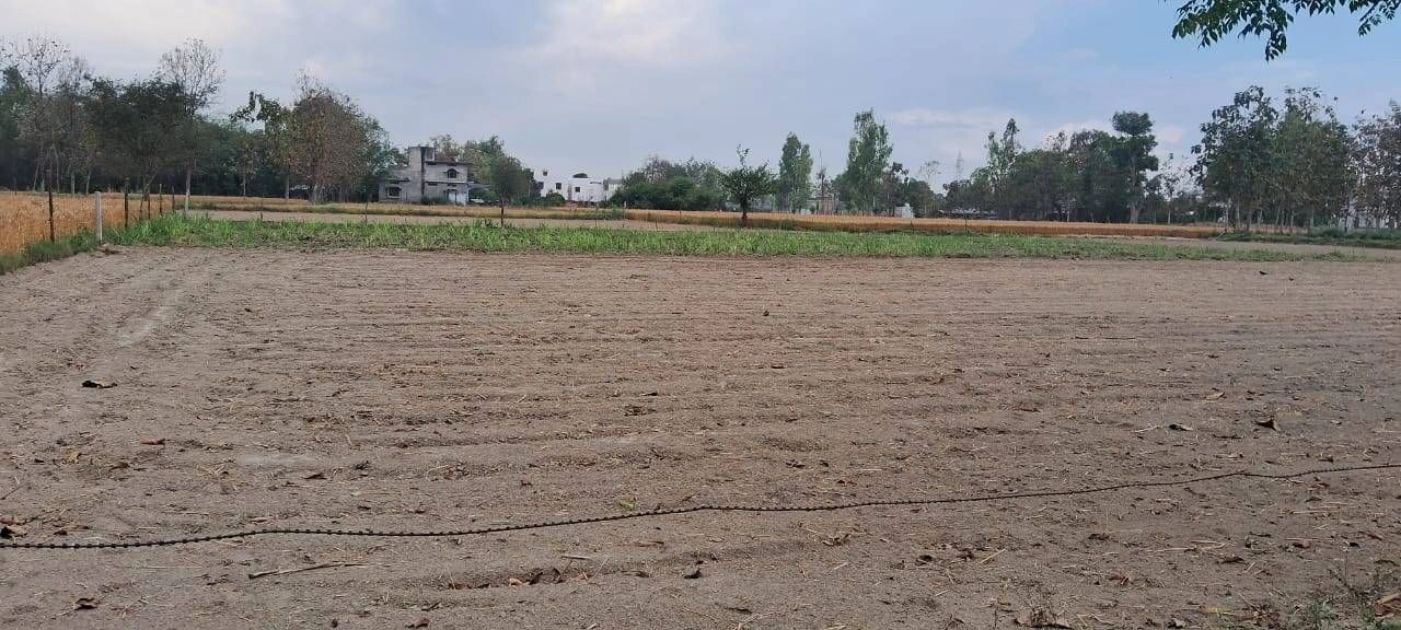 M6Q7+8G Rampur Sargha, Uttar Pradesh, India