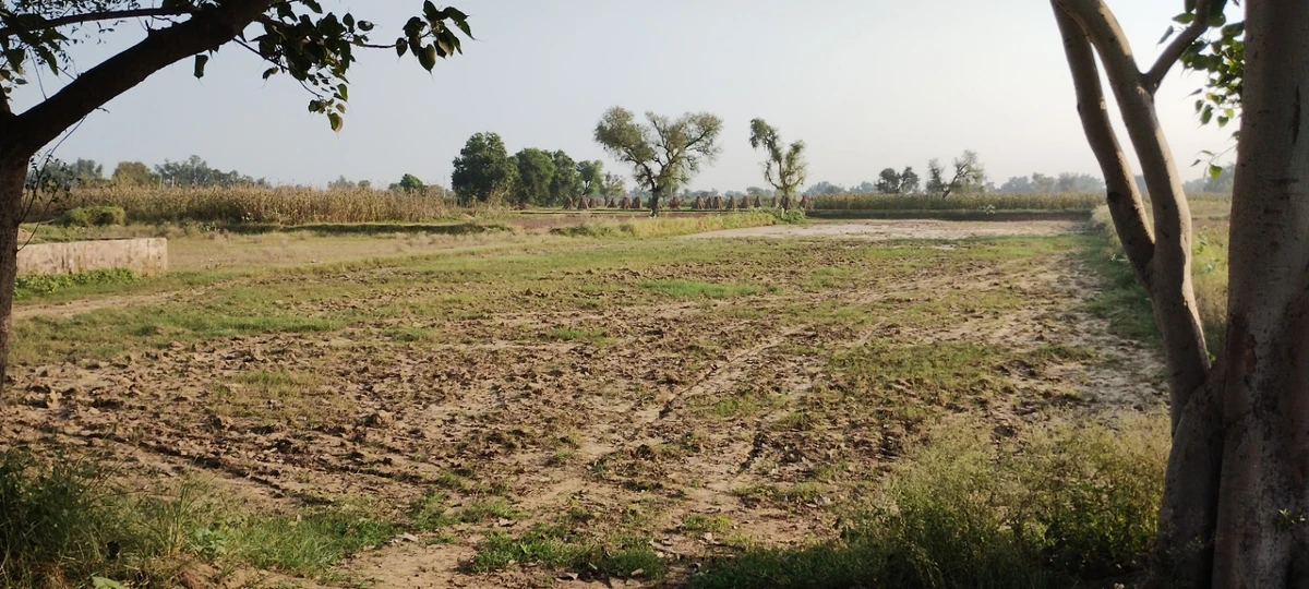 Semli, Rajasthan, India