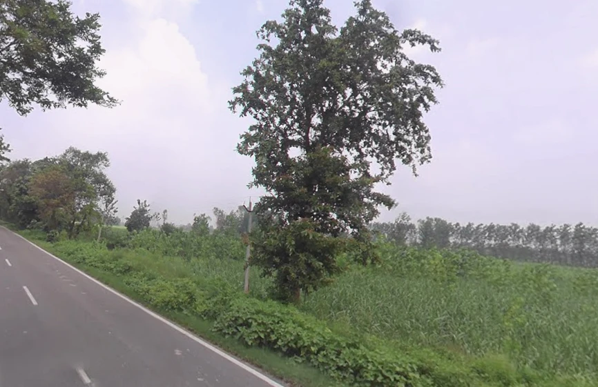 Behat, Uttar Pradesh 247121, India