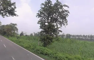 Behat, Uttar Pradesh 247121, India preview 3