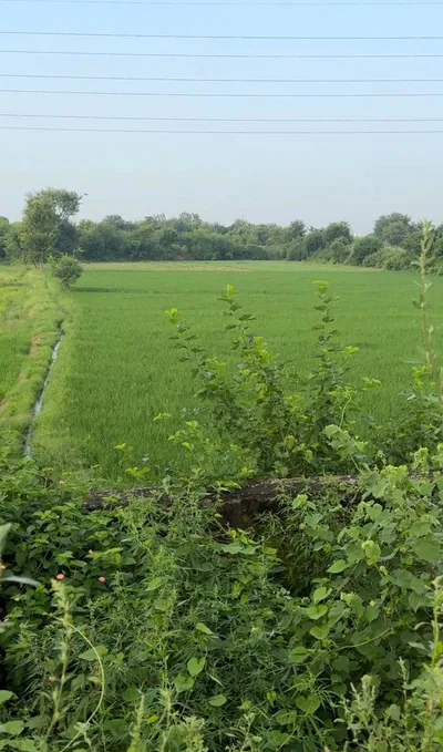 Sikhrani, Uttar Pradesh 201102, India preview 2
