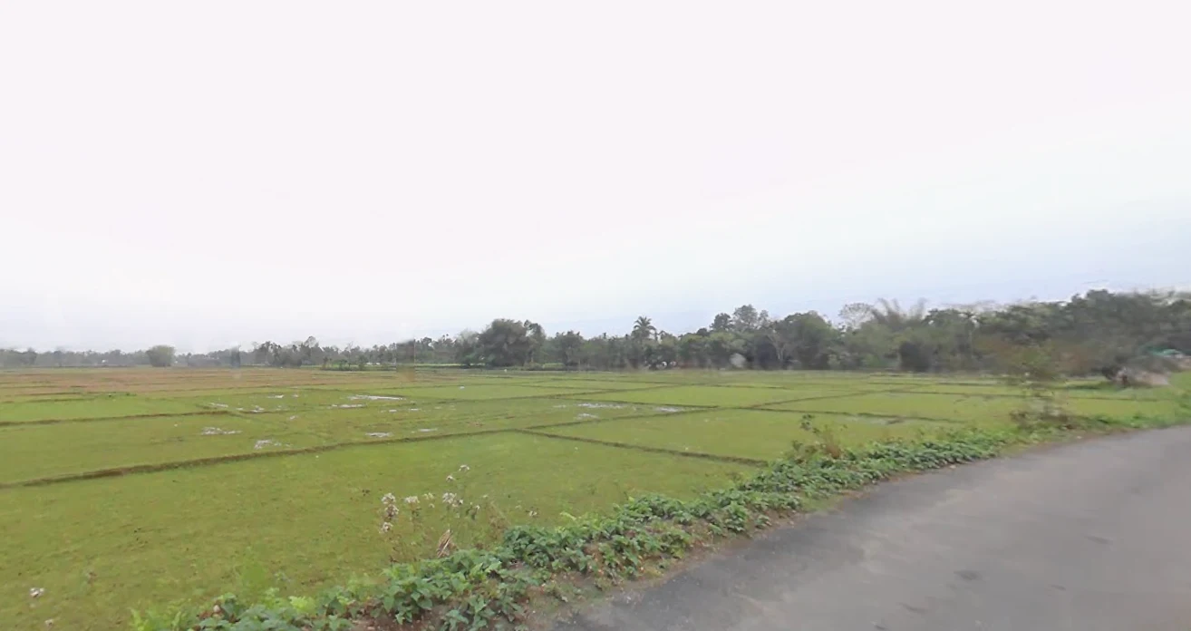 MQ77+P8R, NH 31, Dakshin Chak Maulani, Moulani, West Bengal 735302, India