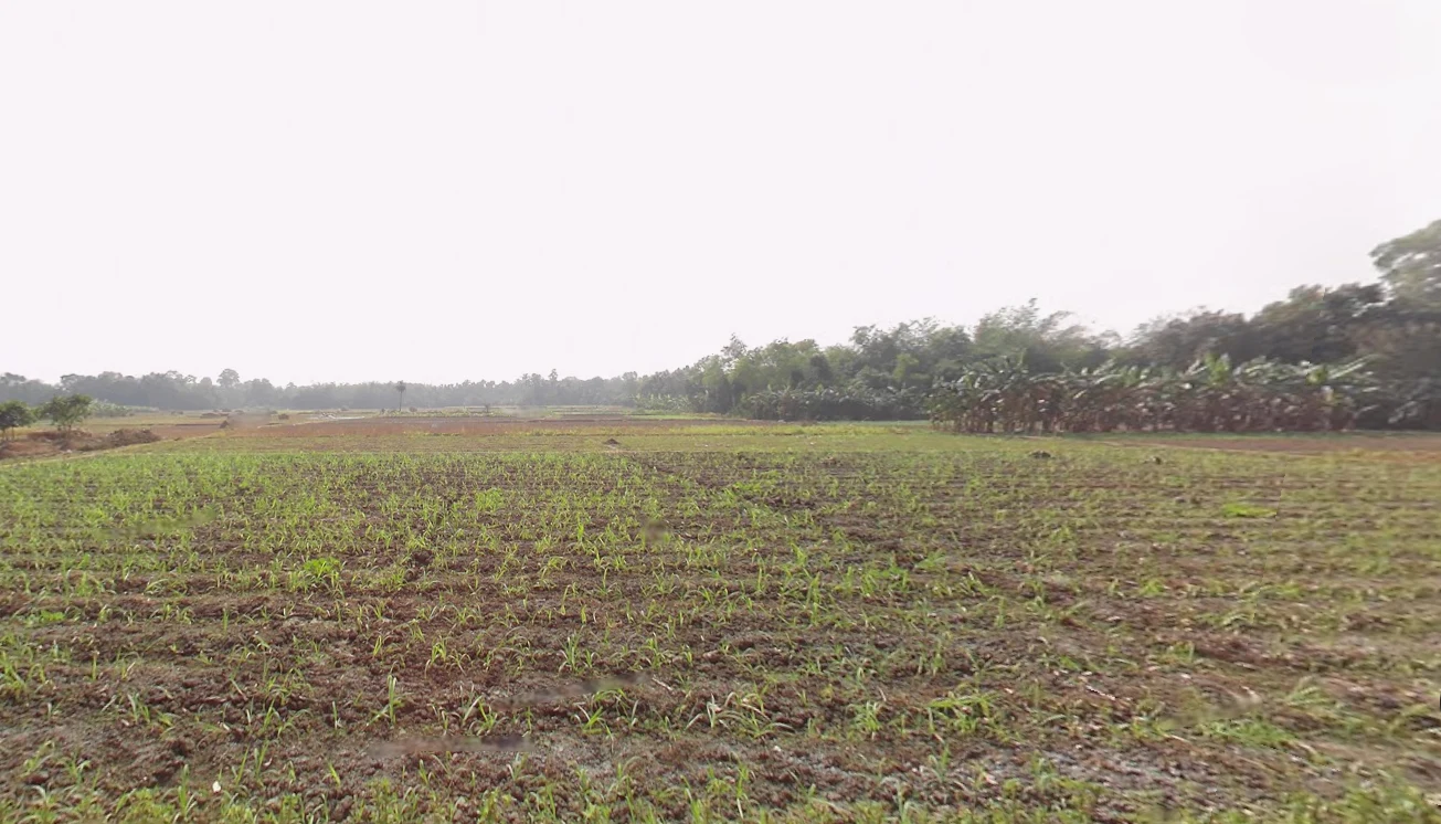 Duttapukur, Gangapur, West Bengal 743248, India