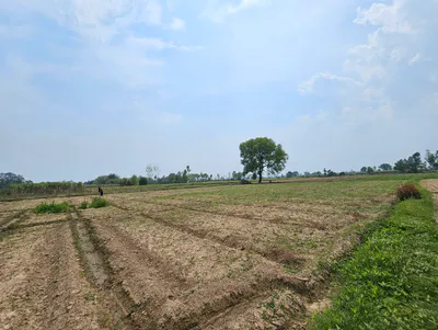 JJ7W+H8M, Jhadla, Rajasthan 303006, India preview 2