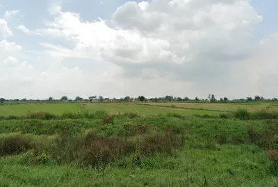 Mai Khadar, Uttar Pradesh 281202, India preview 2