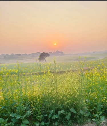 Khoriya Padma, Madhya Pradesh 456441, India