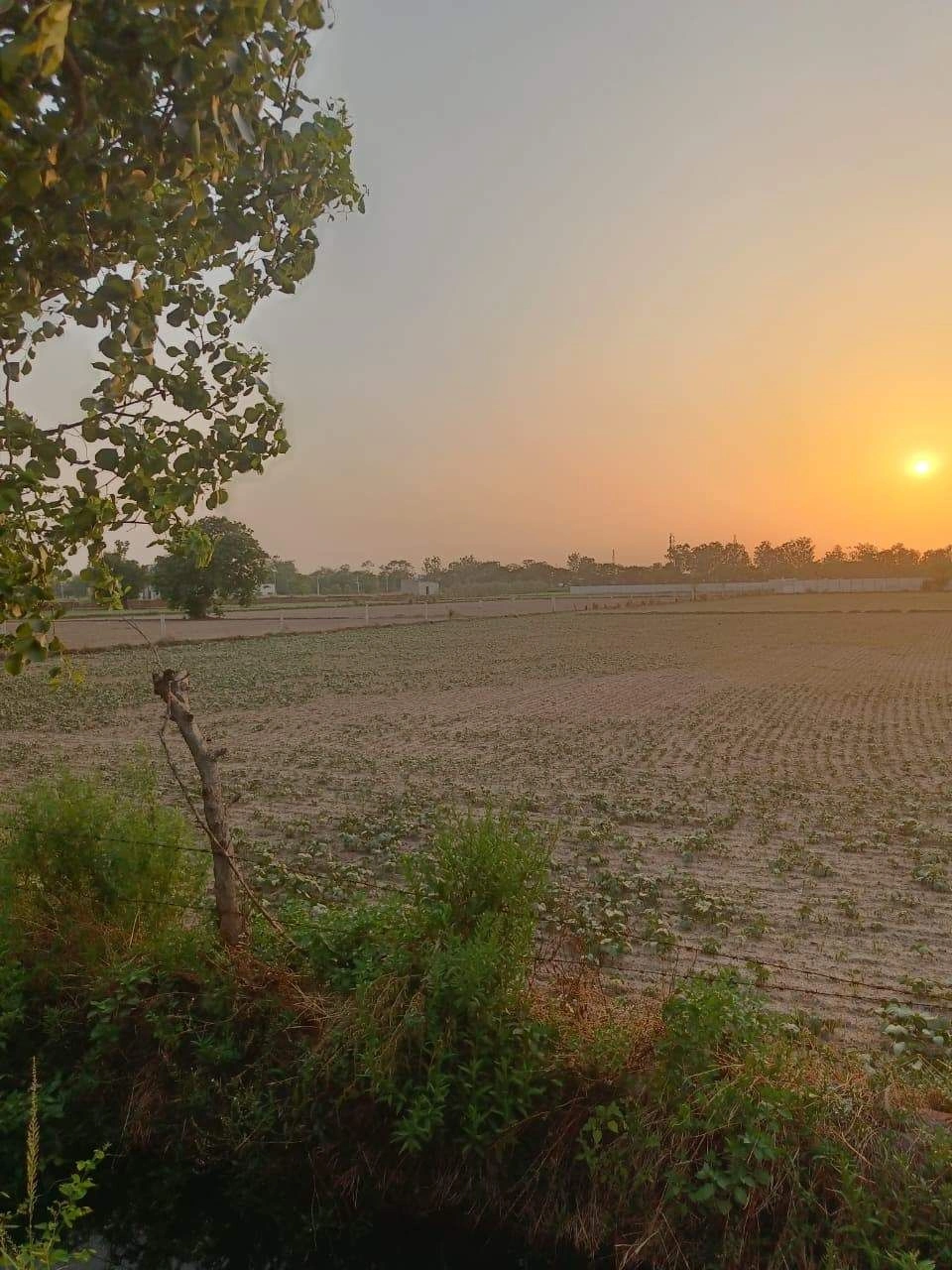 Chandauri, Uttar Pradesh, India