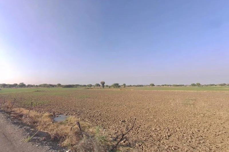 Q2RH+QVH, Mordi Kalan, Rajasthan 303348, India preview 3
