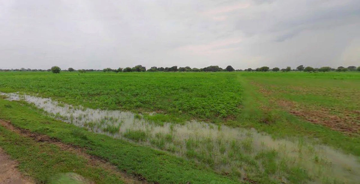 Rawatsar, Rajasthan 335524, India