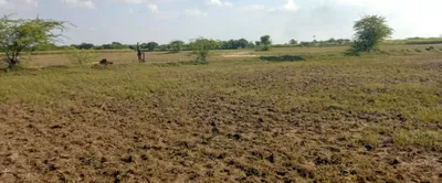 Sector-21, Rohtak, Haryana, India preview 6