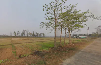 Kranti, West Bengal 735218, India preview 3