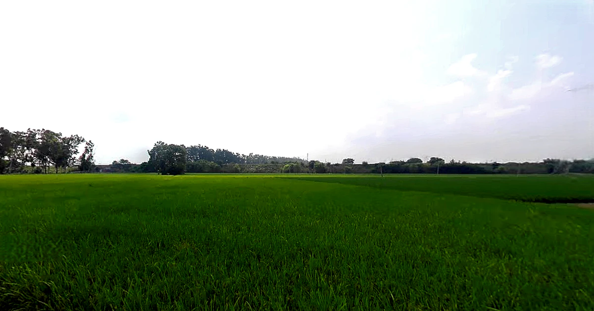 Sarai Banjara, Punjab 140402, India