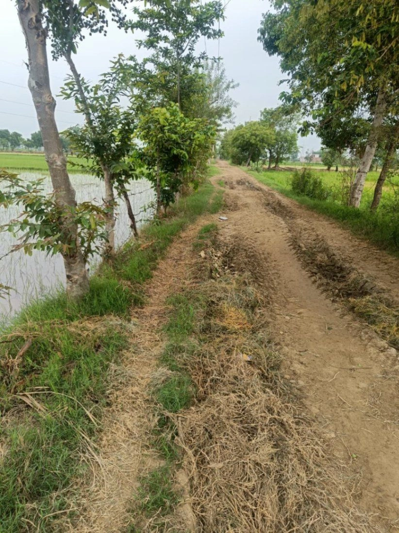 Bukharari, Mathura, Uttar Pradesh, India