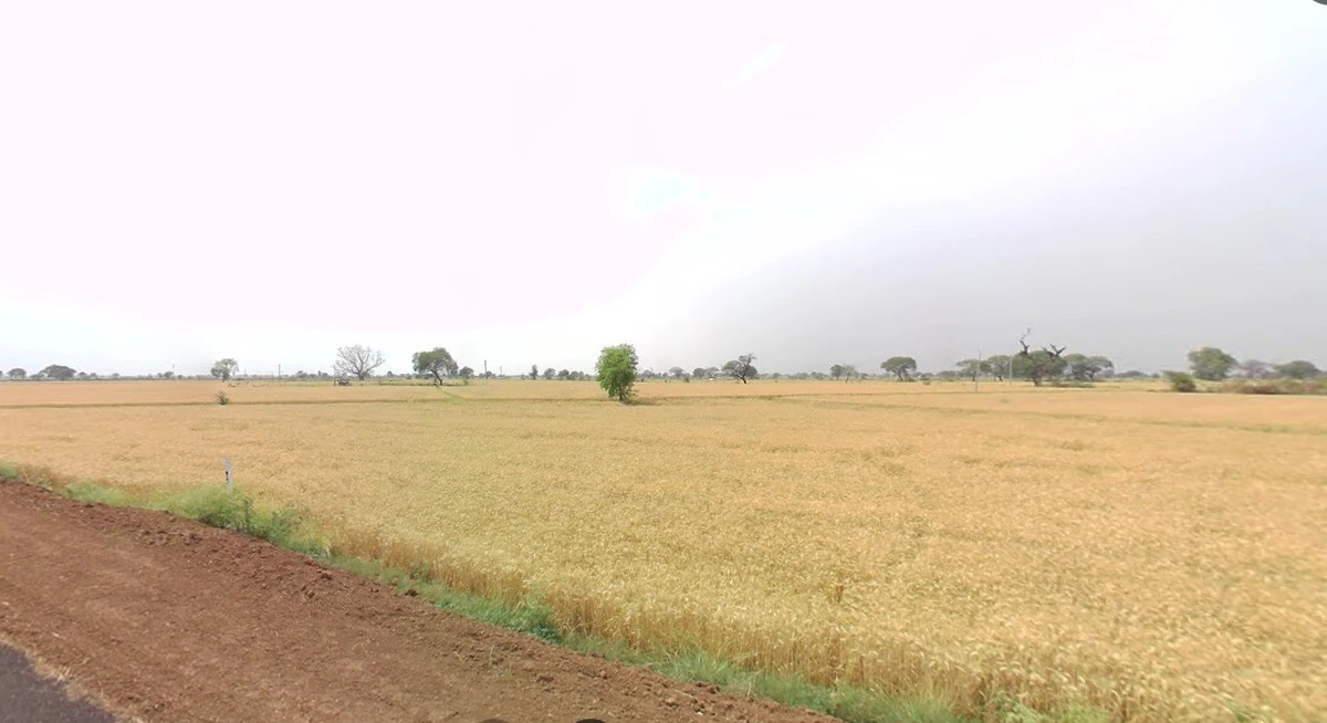 Jeerawada, Madhya Pradesh 464671, India