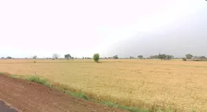 Jeerawada, Madhya Pradesh 464671, India preview 3